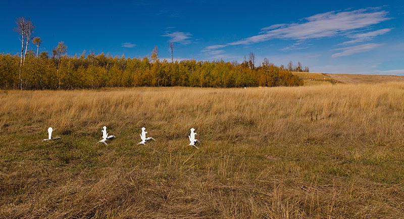 Lazy Triple Creek Ranch - Photo 4