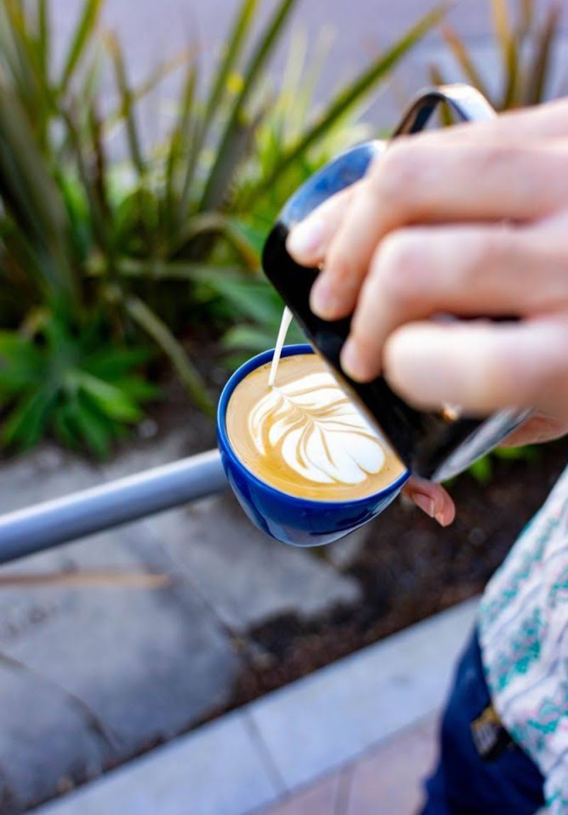 Endless Quest Roasters photo 4