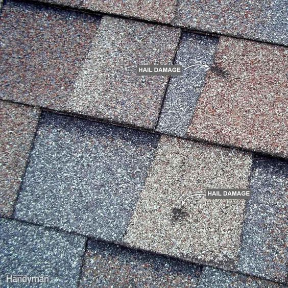 Pro Roofing photo 1
