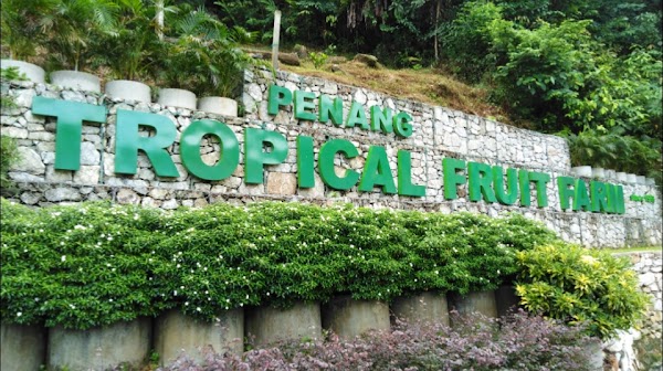 Penang Tropical Fruit Farm - Photo 1