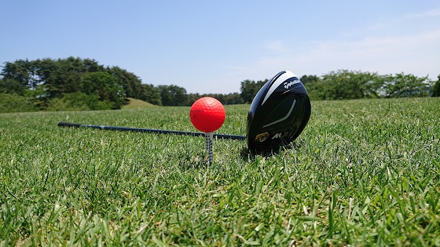 Niigata Golf Club - Photo 7