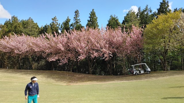Niigata Golf Club - Photo 5