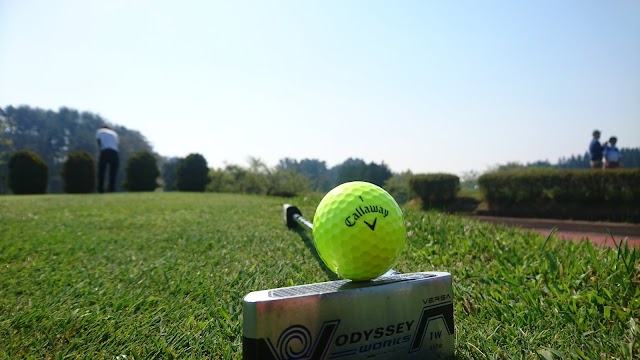 Niigata Golf Club - Photo 6