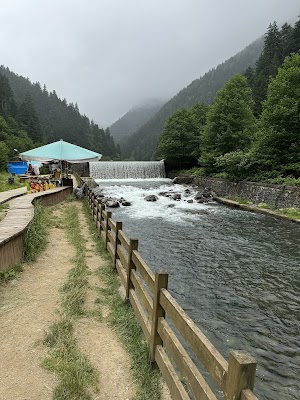 ريف العالم للسفر والسياحة