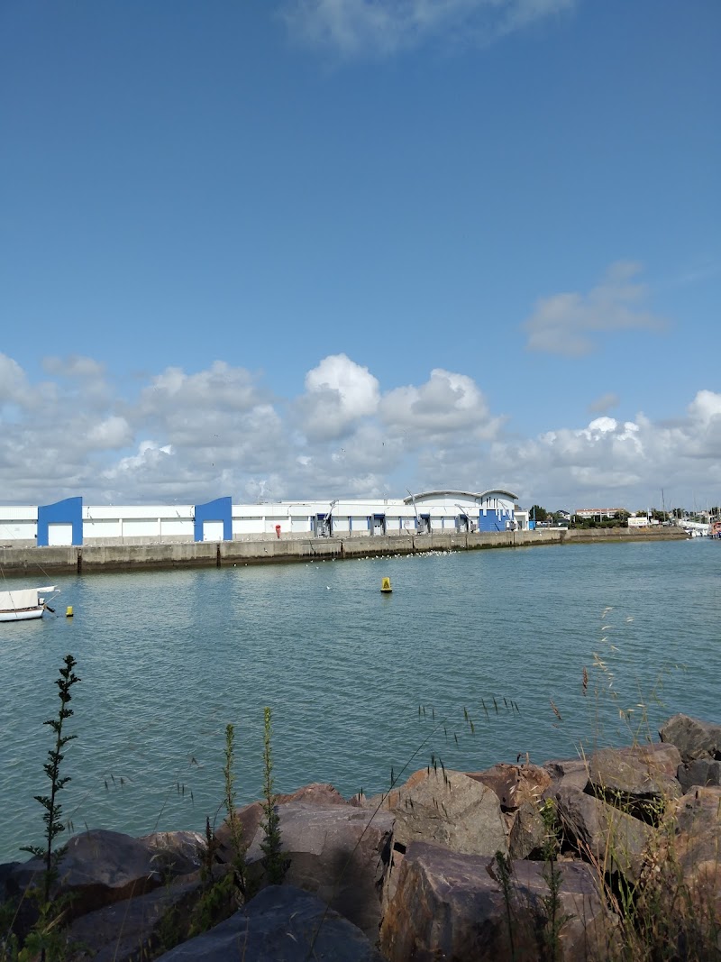 Centre Hospitalier Départemental Vendée
