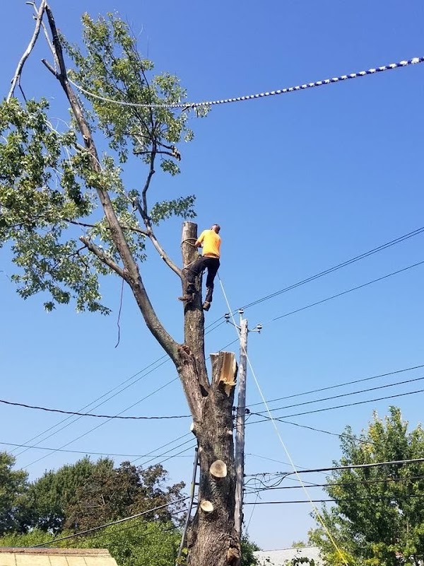 WNY GENERAL CONTRACTING LLC. — photo