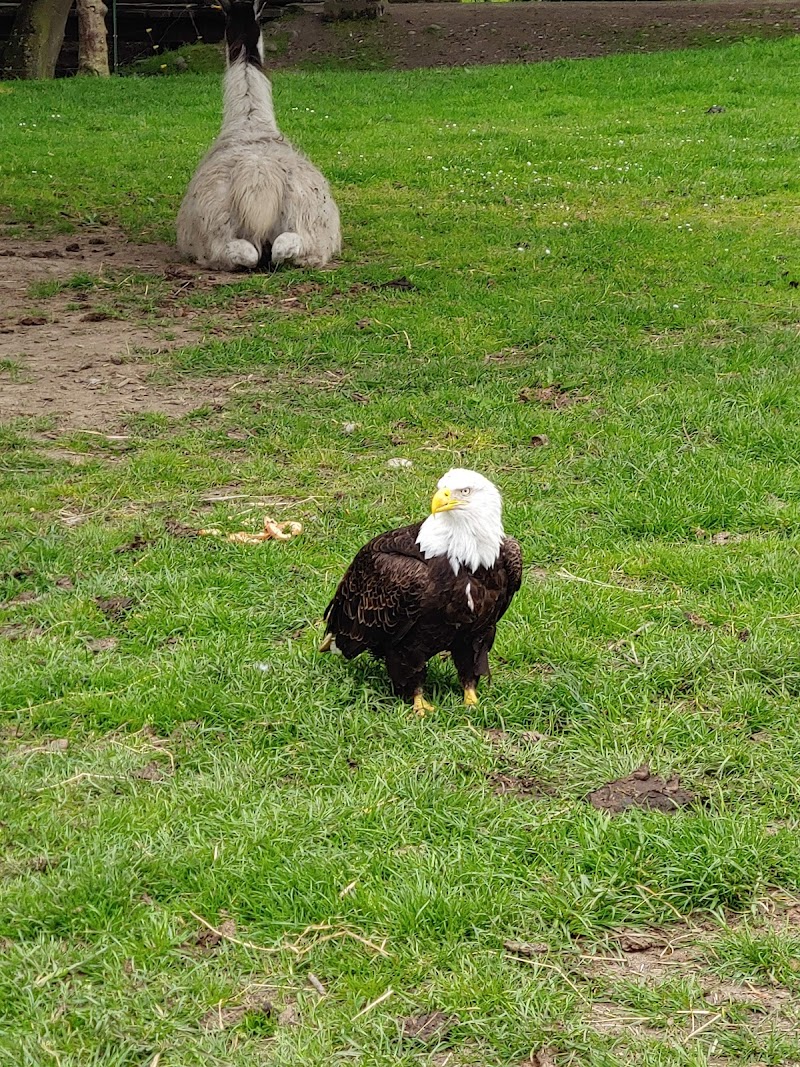 Olympic Game Farm Inc. - Photo 6