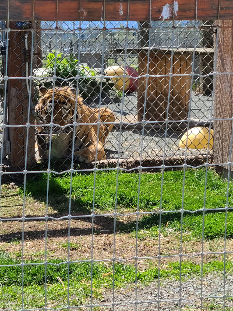 Olympic Game Farm Inc. - Photo 1