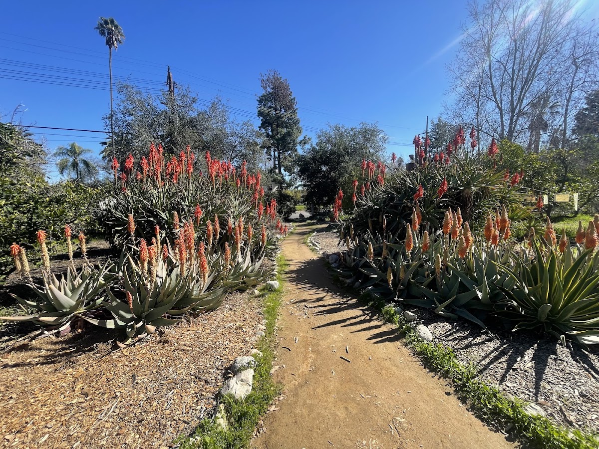 Arlington Garden in Pasadena: Google Places image 3