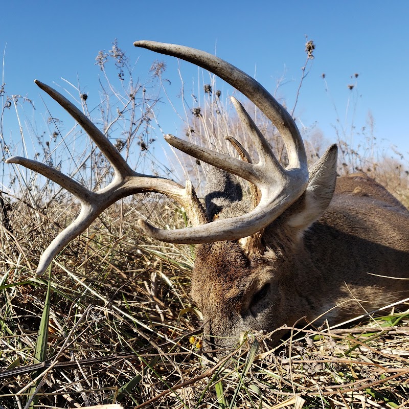Monster Whitetail Outfitters - Photo 2