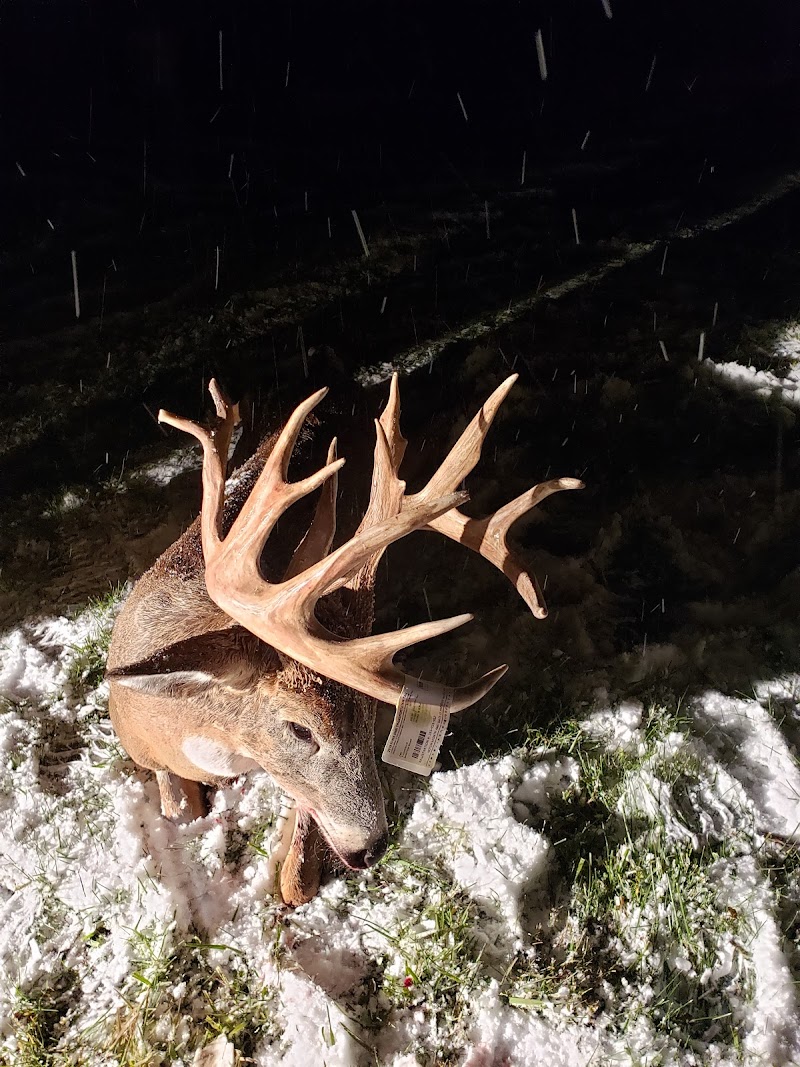 Monster Whitetail Outfitters - Photo 5