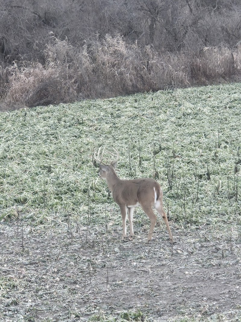 Monster Whitetail Outfitters - Photo 4