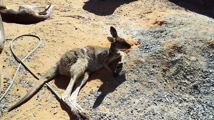 Bobbits Hairdressing Studio photo 2