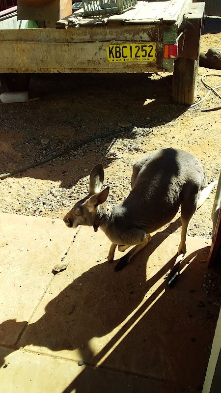 Bobbits Hairdressing Studio photo 1