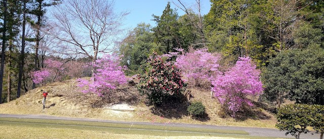 Sasado Country Club - Photo 10