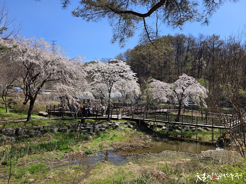 법동소류지 사진 4