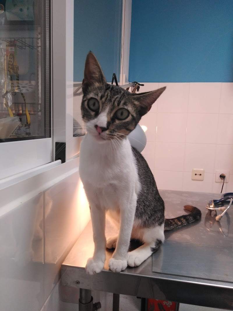 Clínica Veterinaria Faunatura