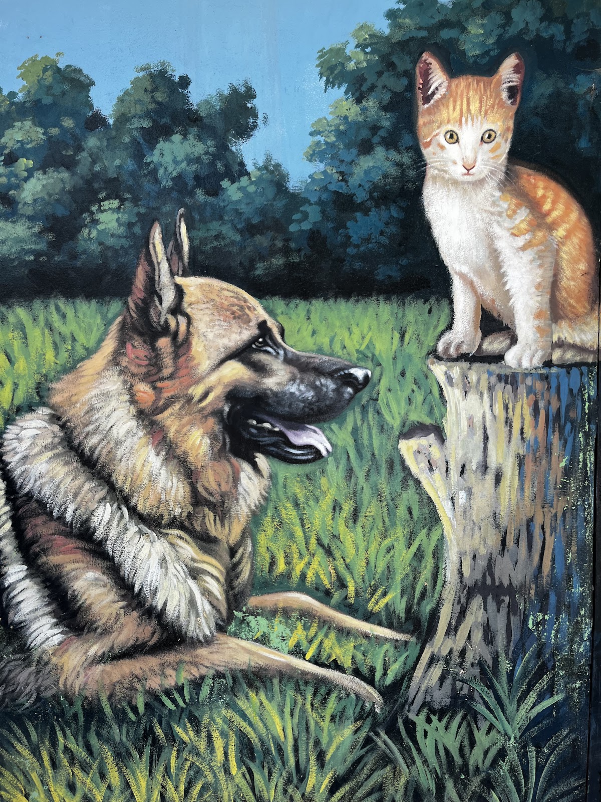 Servicios Veterinarios Tamboril - Imagen 2