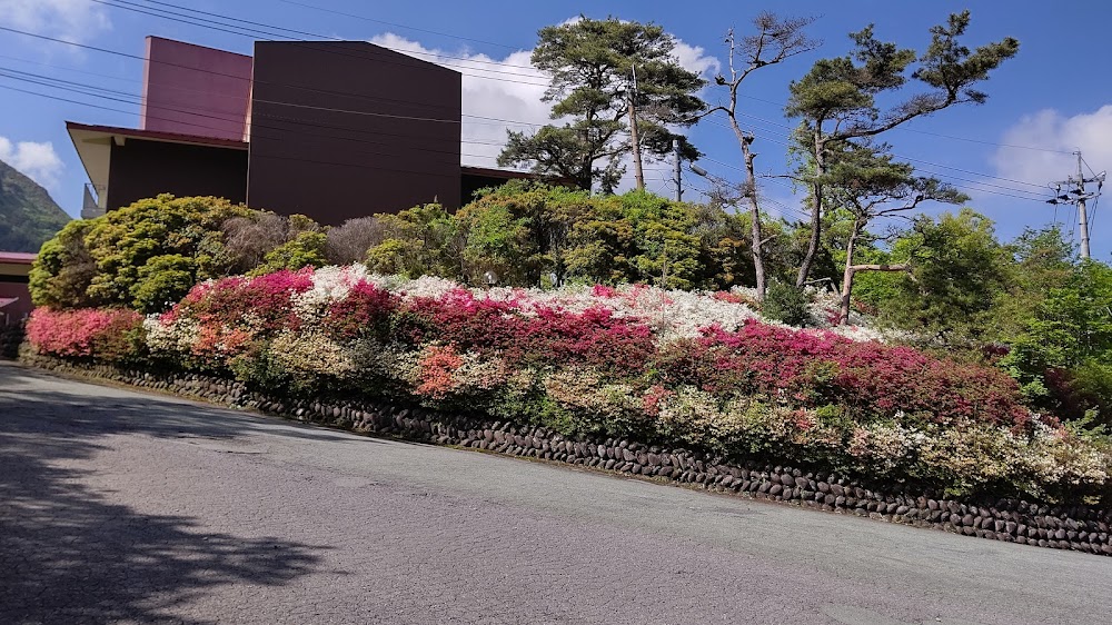 くじゅうやまなみキャンプ村