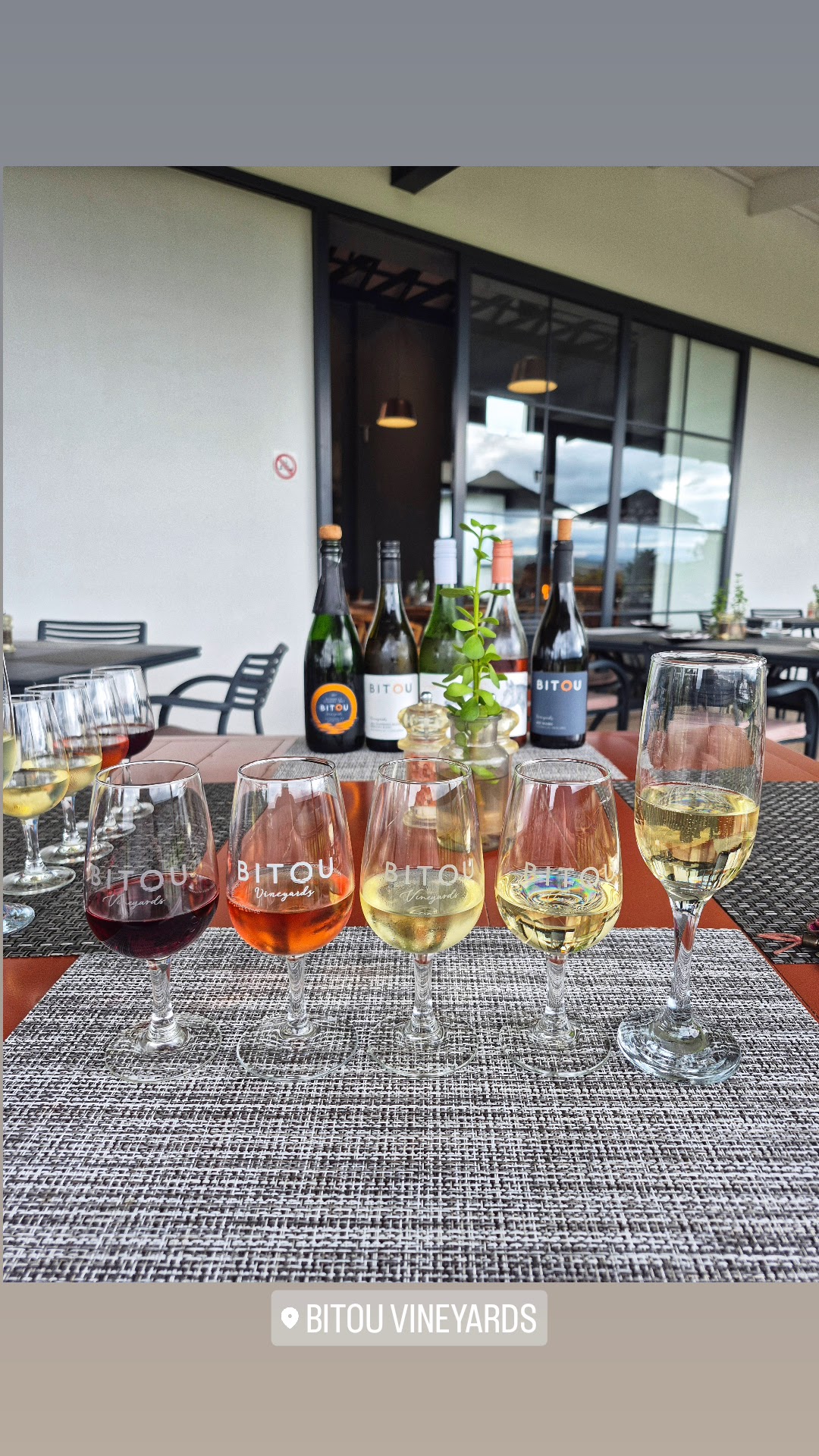 Bitou Vineyards — photo 3