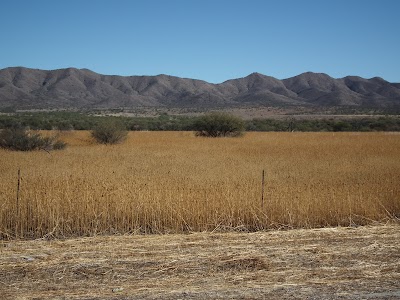 US Fish & Wildlife Department Services