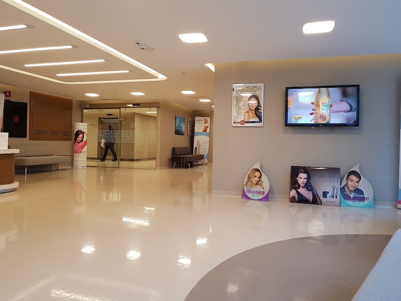 Gallery 3