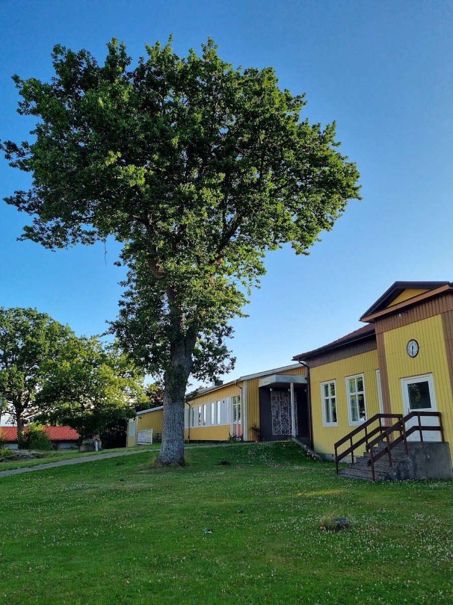 Fredd Nygård