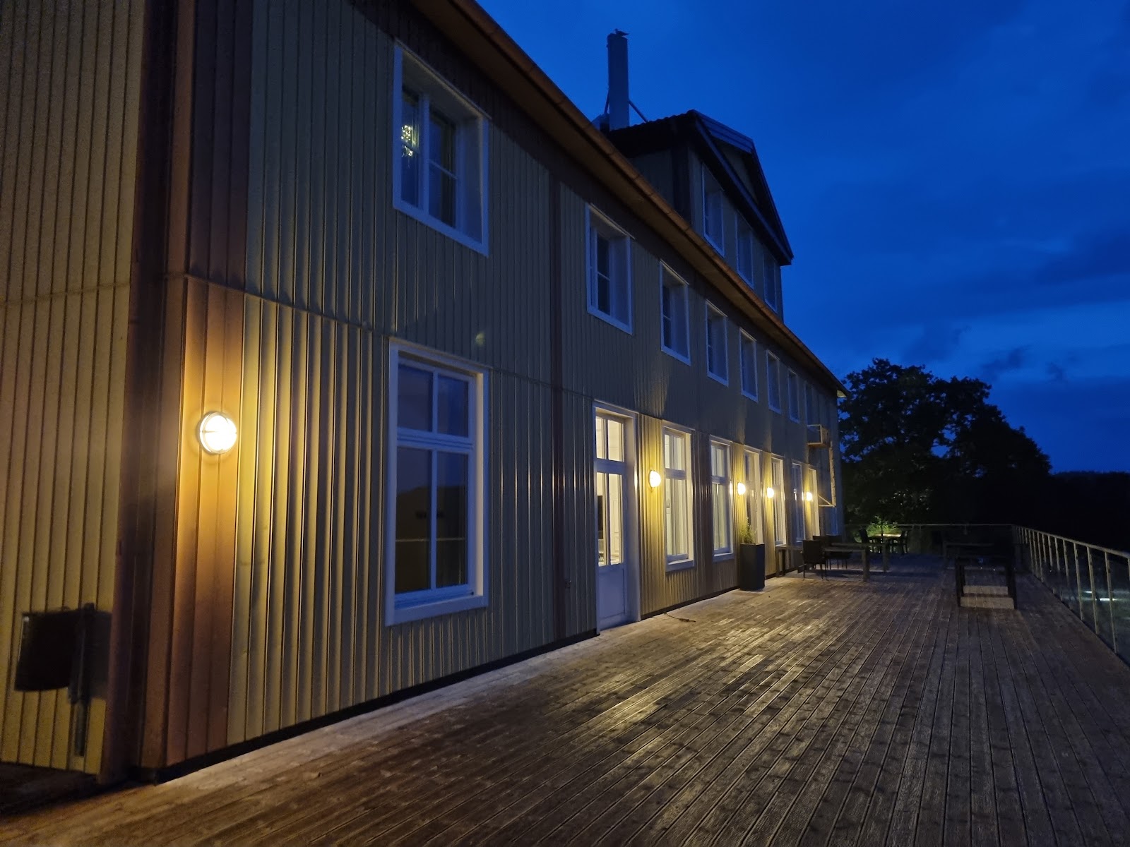 Fredd Nygård