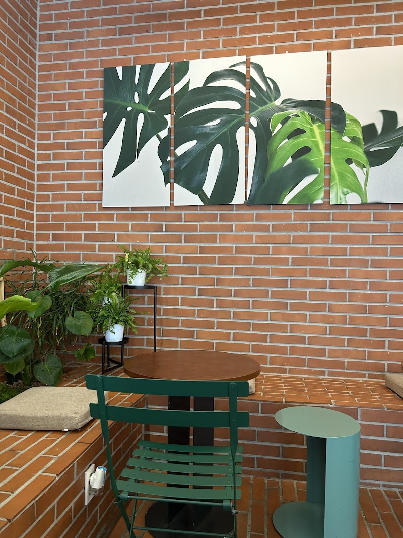 레커 사진 4