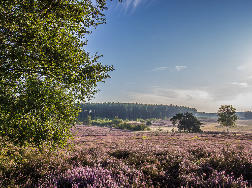 Parking 2 natuurgebied De Teut
