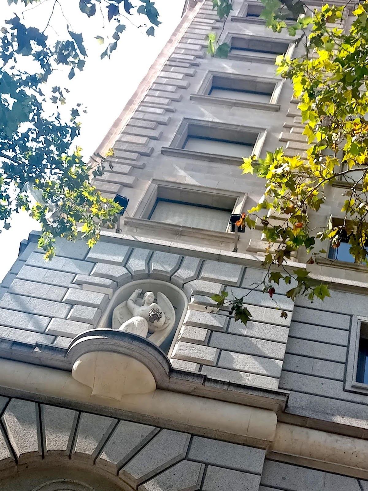 Centre de ioga Iyengar — 3