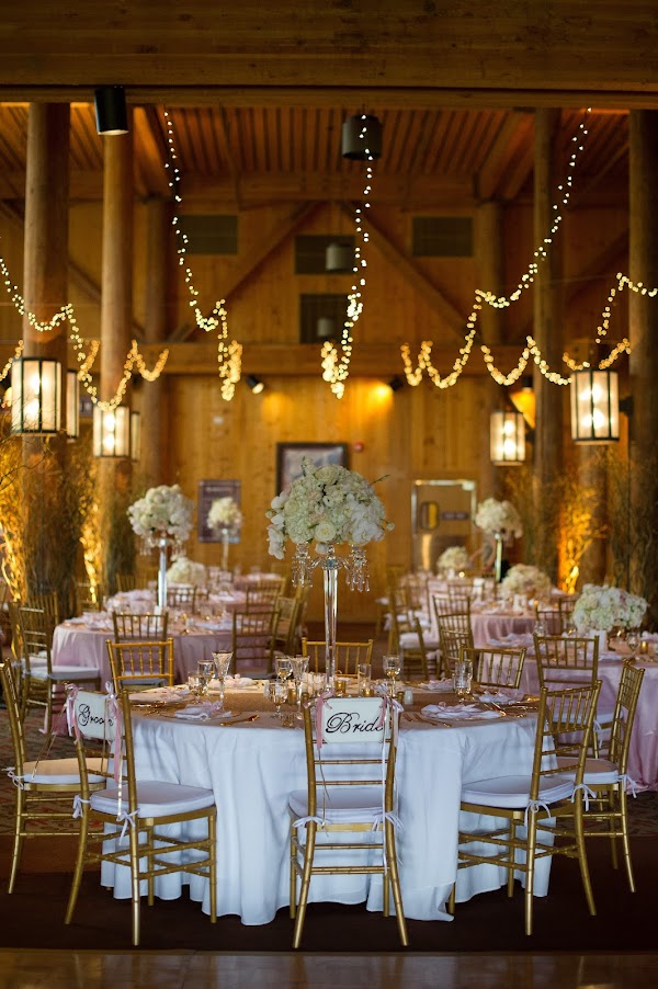 Alexan Events portfolio