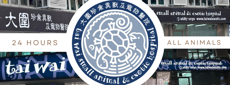 Tai Wai Animal Hospital (Tai Wai Small Animal and Exotic Hospital)