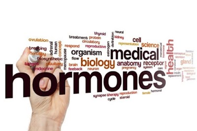 Hormone Health and Weight Loss of Williamsburg, Virginia photo 1