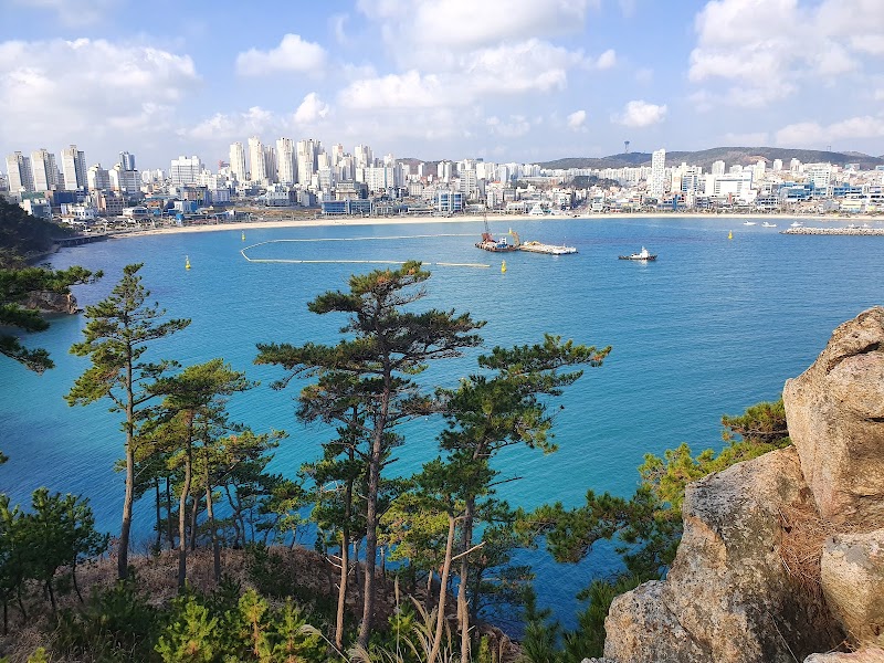 일산해수욕장 사진 5