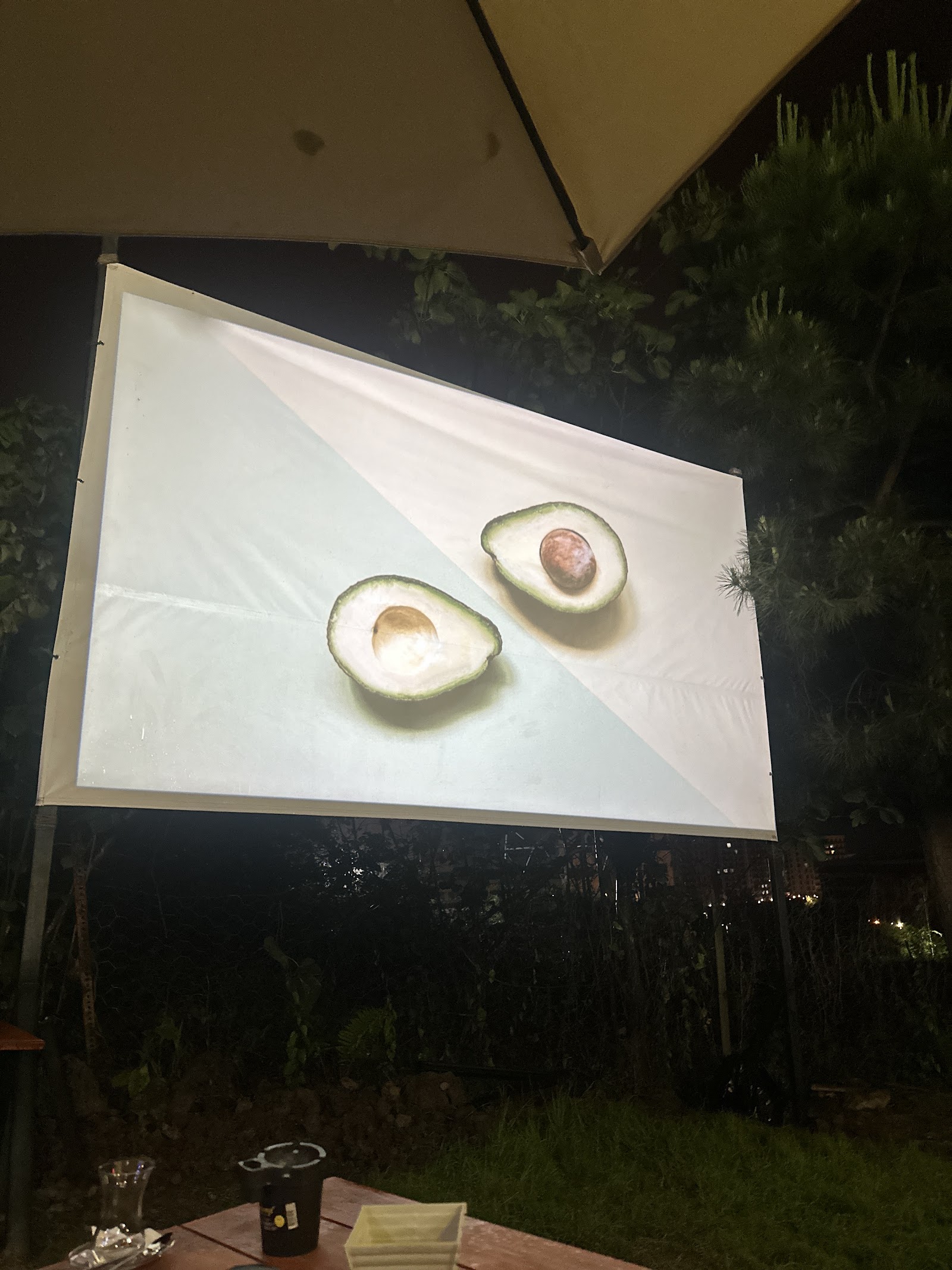 BOZ GARDEN mekanı