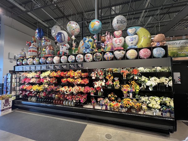 Photo by Tim Jennette