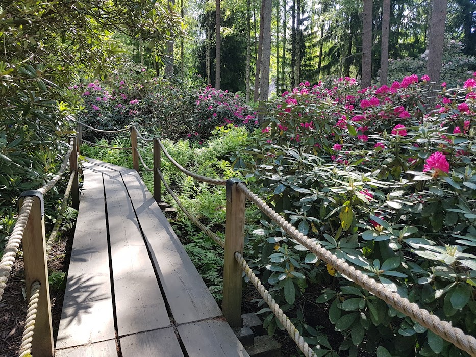 Haaga Rhododendron Park fotoğraf 1