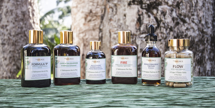 The Source Herbal Detox Retreat — 4