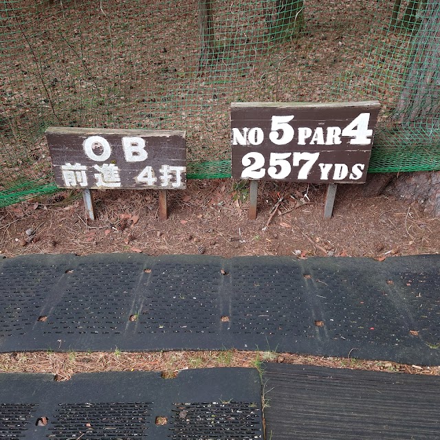 Fuji Akamatsu Golf Course - Photo 9