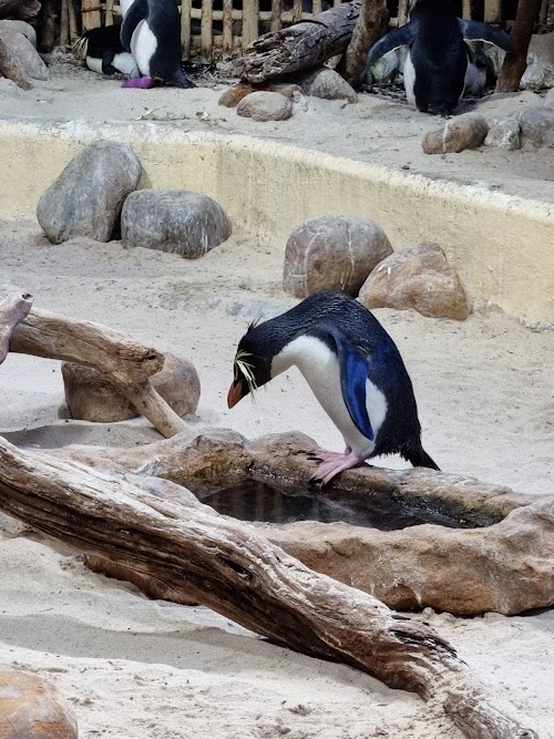 Two Oceans Aquarium