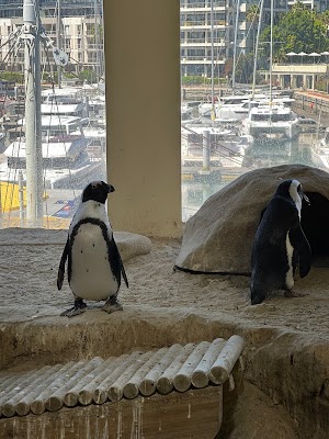 Two Oceans Aquarium