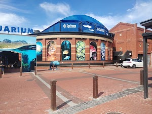 Two Oceans Aquarium