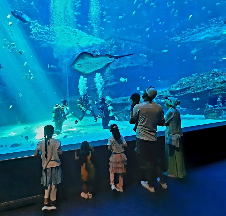 Two Oceans Aquarium fotoğraf 1