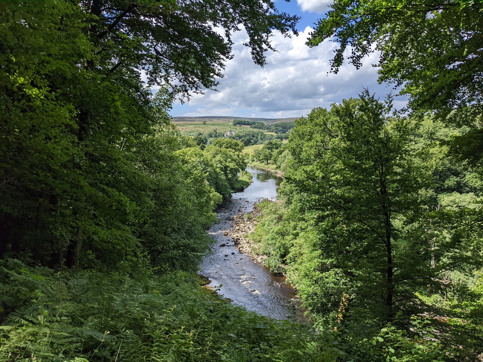 Autumn in Yorkshire: A Seasonal Guide to Golden Dales, Misty Moors and Cosy Market Towns