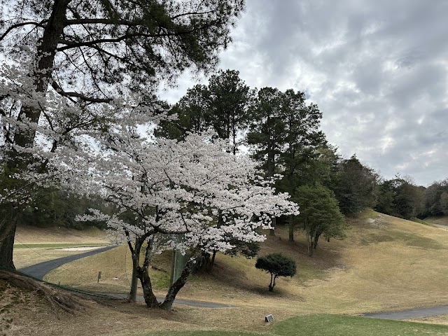 Golf Club Shijonawate - Photo 3