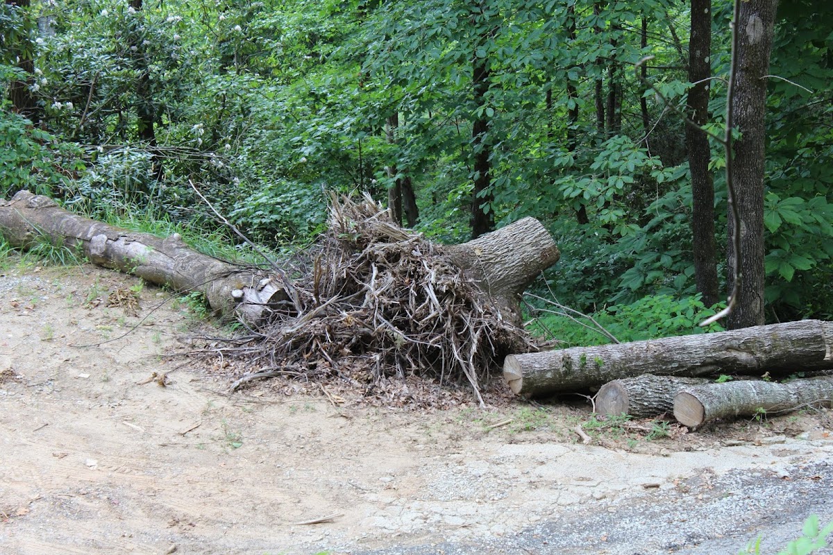 Hunnicutt Grading LLC
