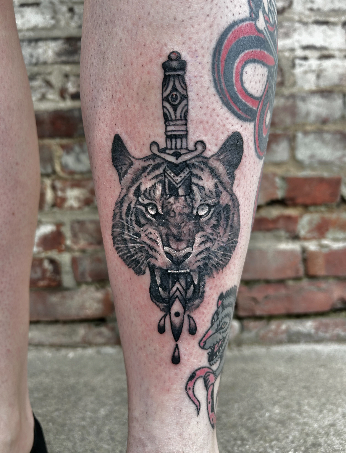 Equinox Tattoo Studio tattoo work — photo 2
