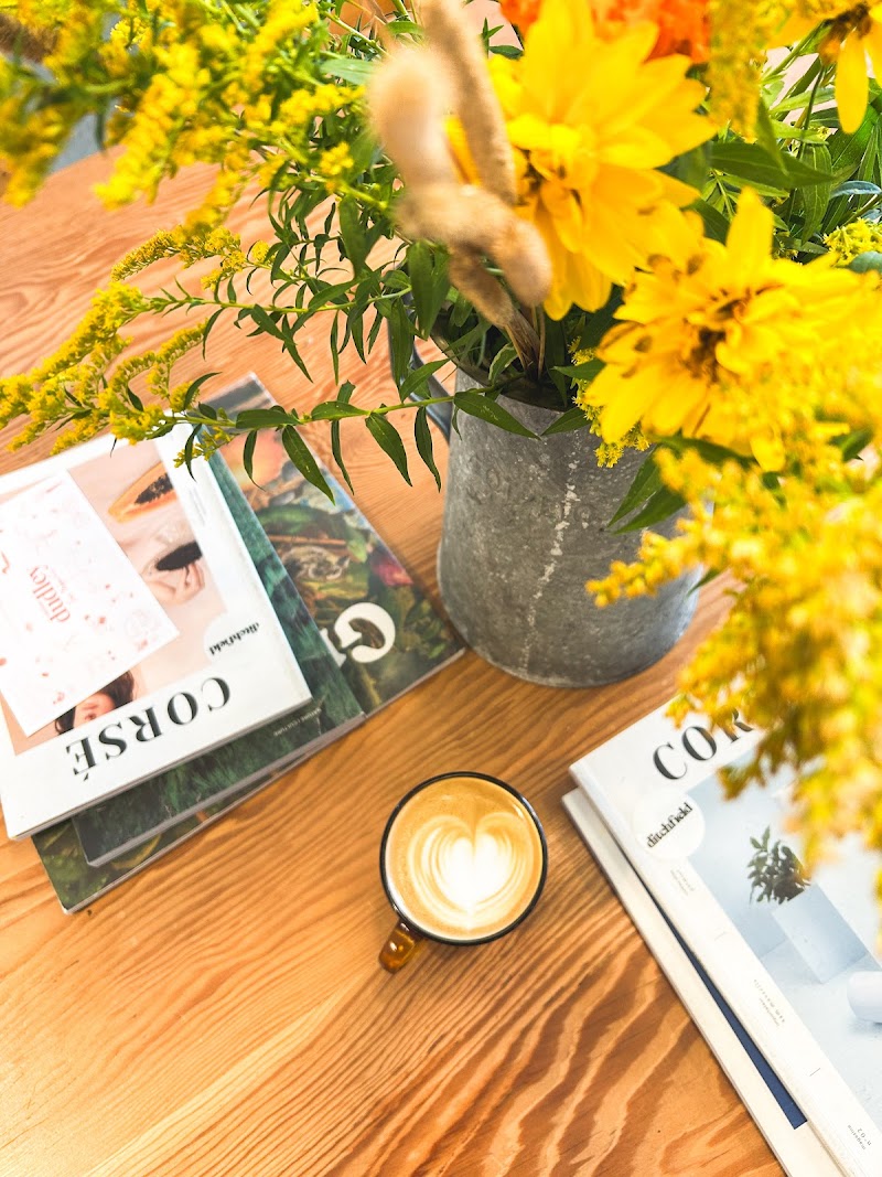 Ditchfield microtorréfacteur photo 3