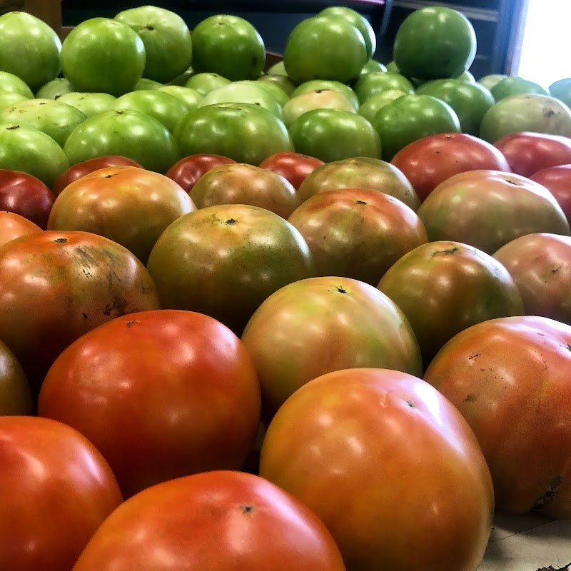 Fields Farm Market photo 3